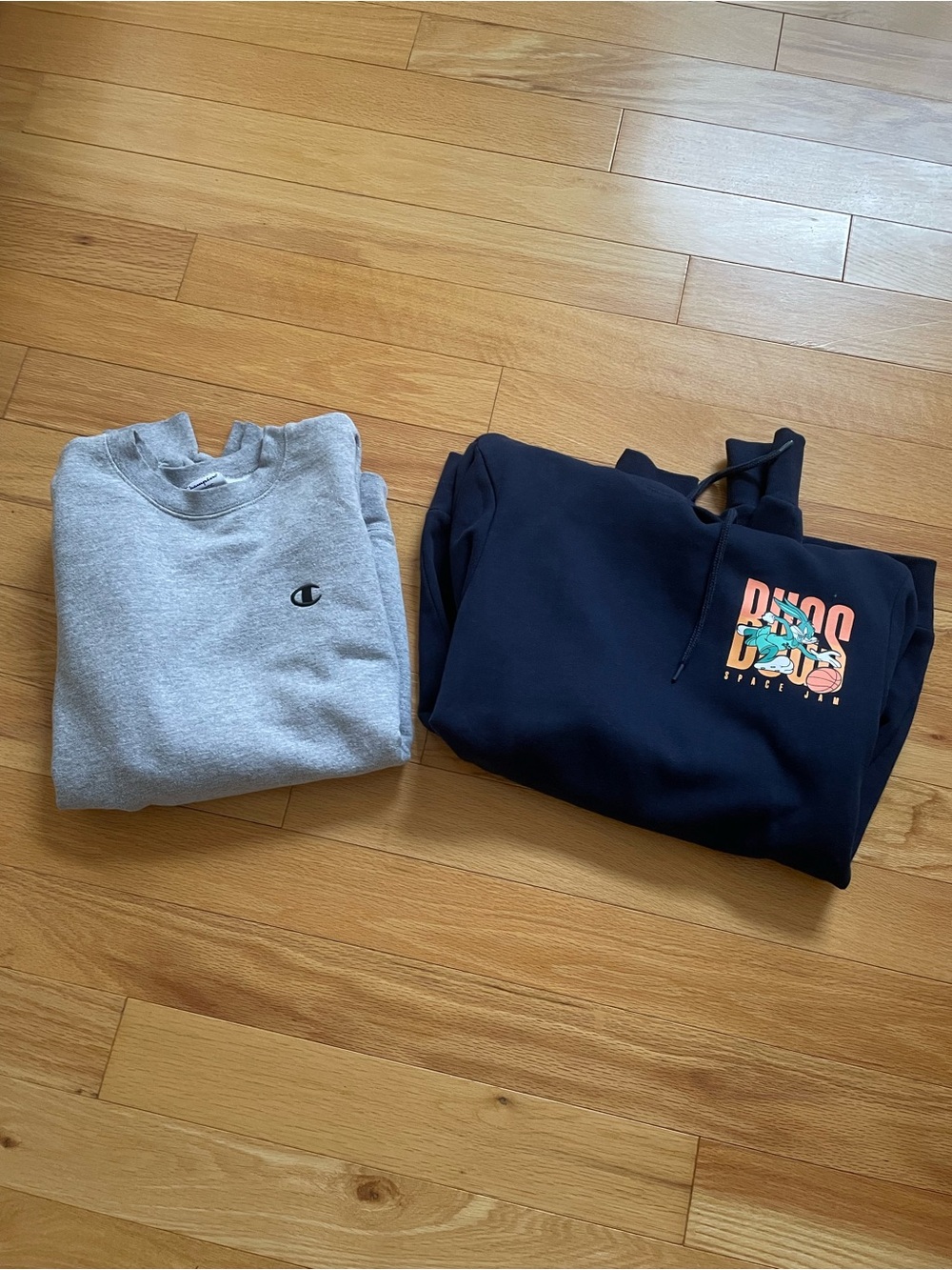 Lot of 2 Men’s Hoodies-Medium- Champion and Space Jam-NWT